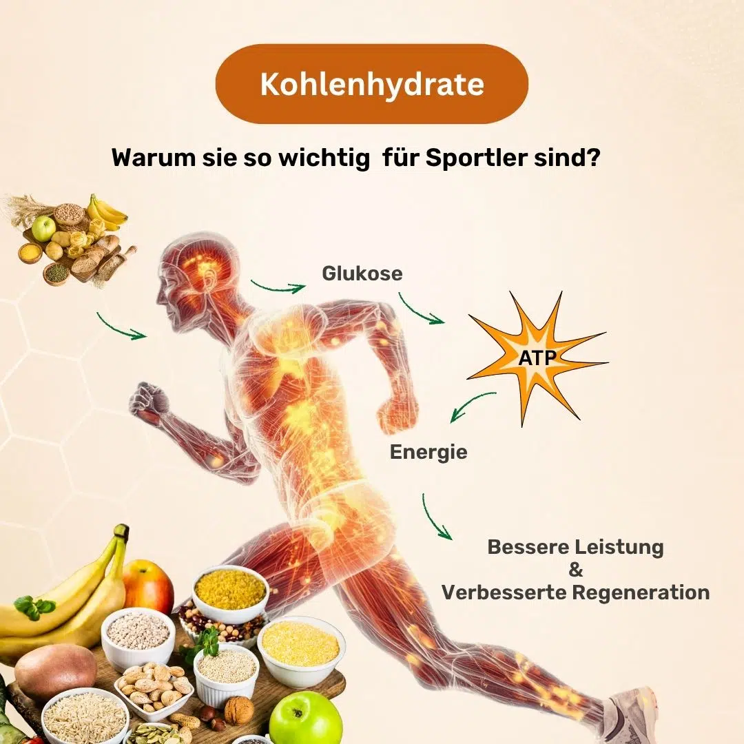 Carb Guide Sportler Cover