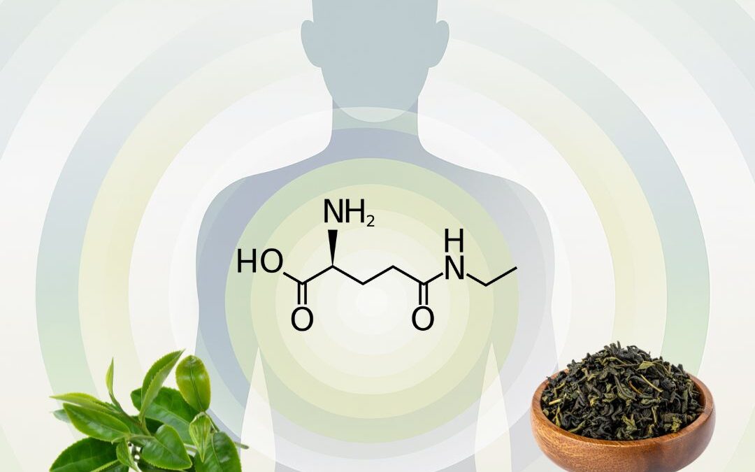 L-Theanine and cognitive performance