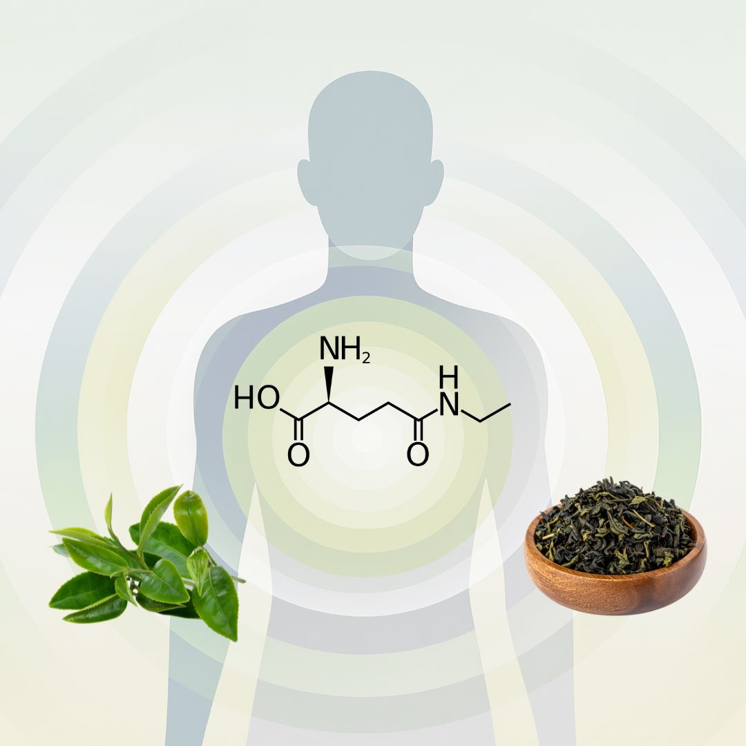 L-Theanine and cognitive performance