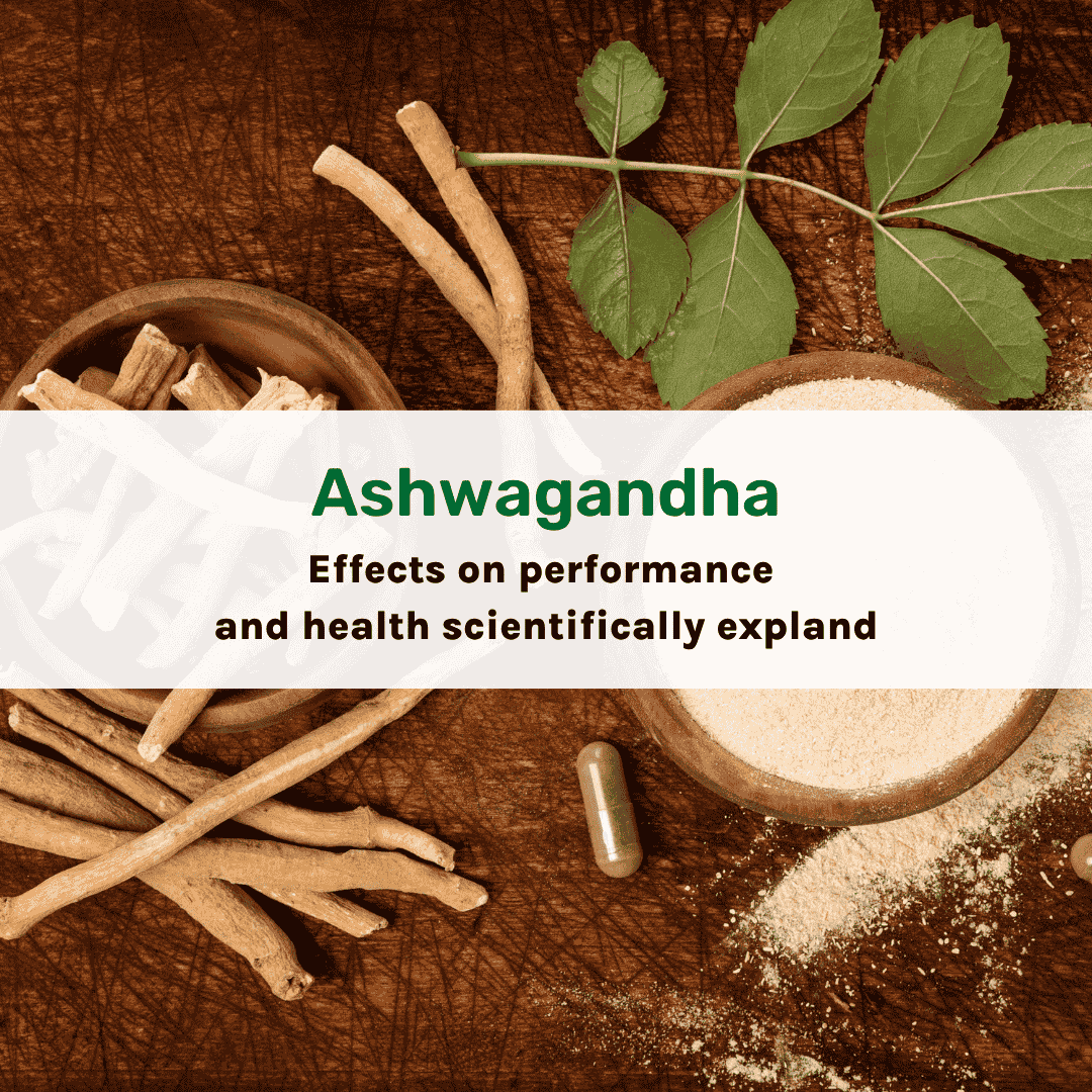 What Can Ashwagandha Do?