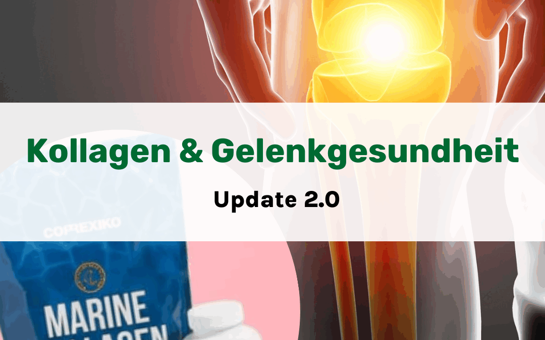 Kollagen für gesündere Bänder, Sehnen und Knorpel – Update 2.0