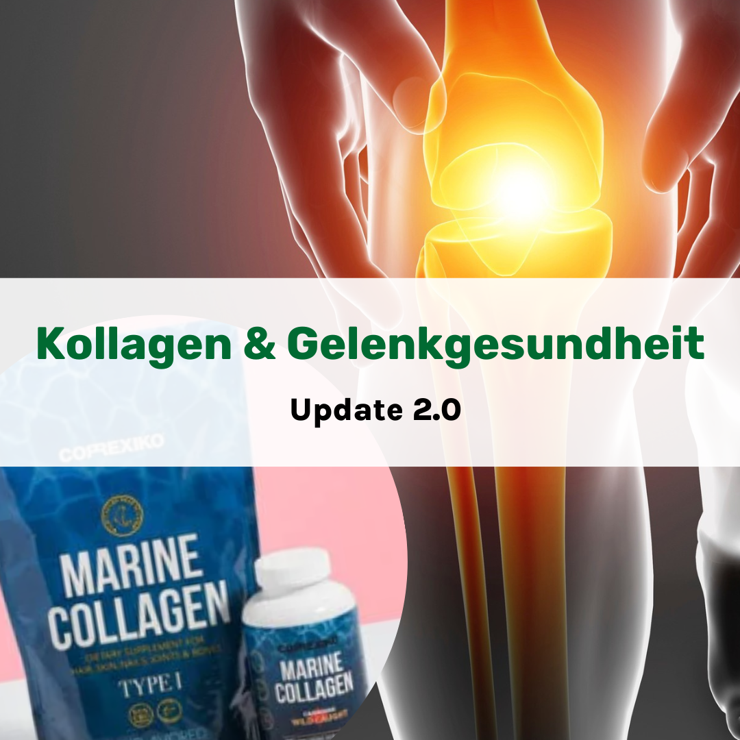 Kollagen für gesündere Bänder, Sehnen und Knorpel – Update 2.0