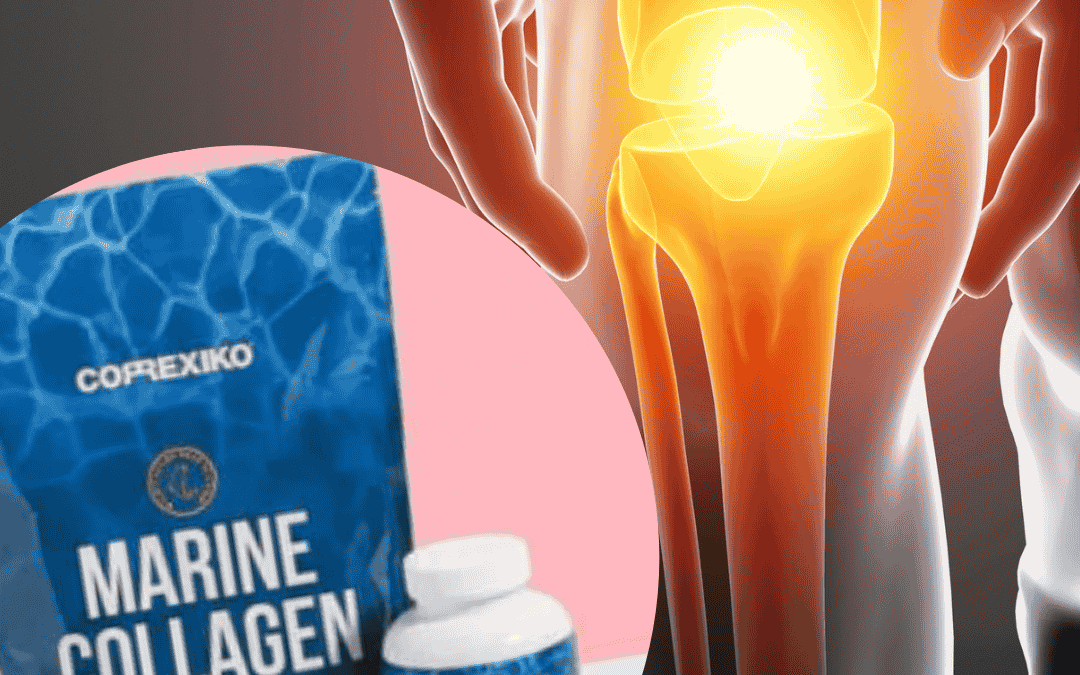 Kollagen für gesündere Bänder, Sehnen und Knorpel – Wissenschaftliches Update
