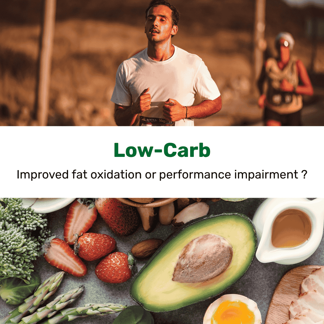 Ketogenic Diet in Endurance Sports – Fat Oxidation Training or Performance Killer?